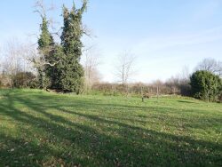 maison-a-vendre-|-estang-|-gers